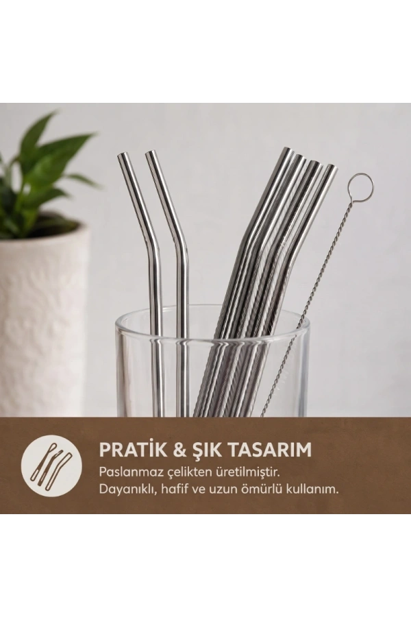 Bidebuvar 6lı Kaşıklı Pipet Seti - Metal - Pipet Temizleme Fırçası