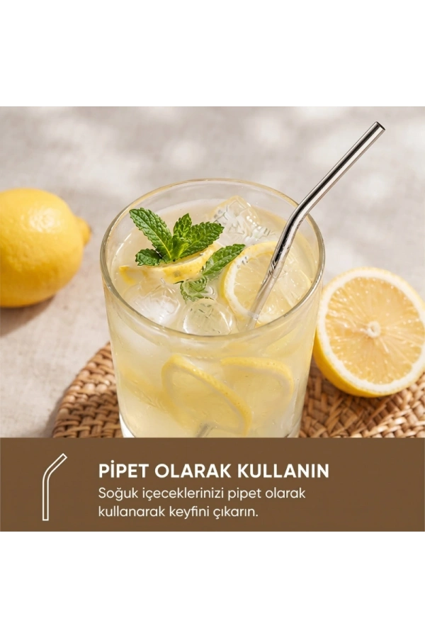 Bidebuvar 6lı Kaşıklı Pipet Seti - Metal - Pipet Temizleme Fırçası