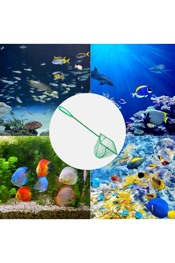 Bidebuvar Akvaryum Balık Kepçesi 10 cm.