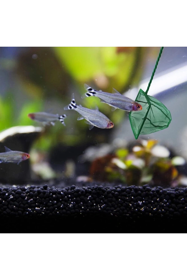 Bidebuvar Akvaryum Balık Kepçesi 12 cm.