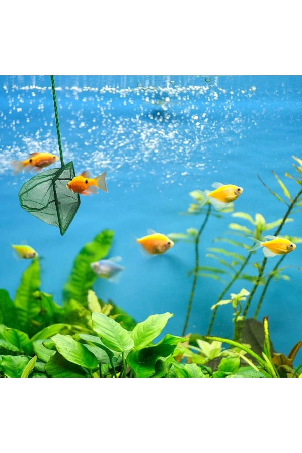 Bidebuvar Akvaryum Balık Kepçesi 7.5 Cm.