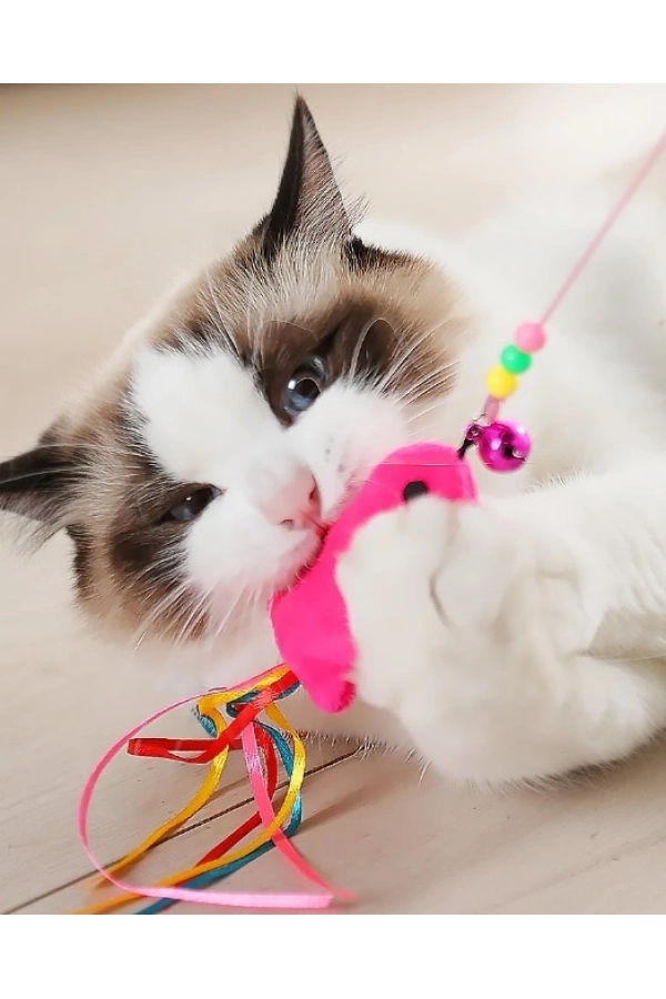 Bidebuvar Balıklı Kedi Oyun Oltası