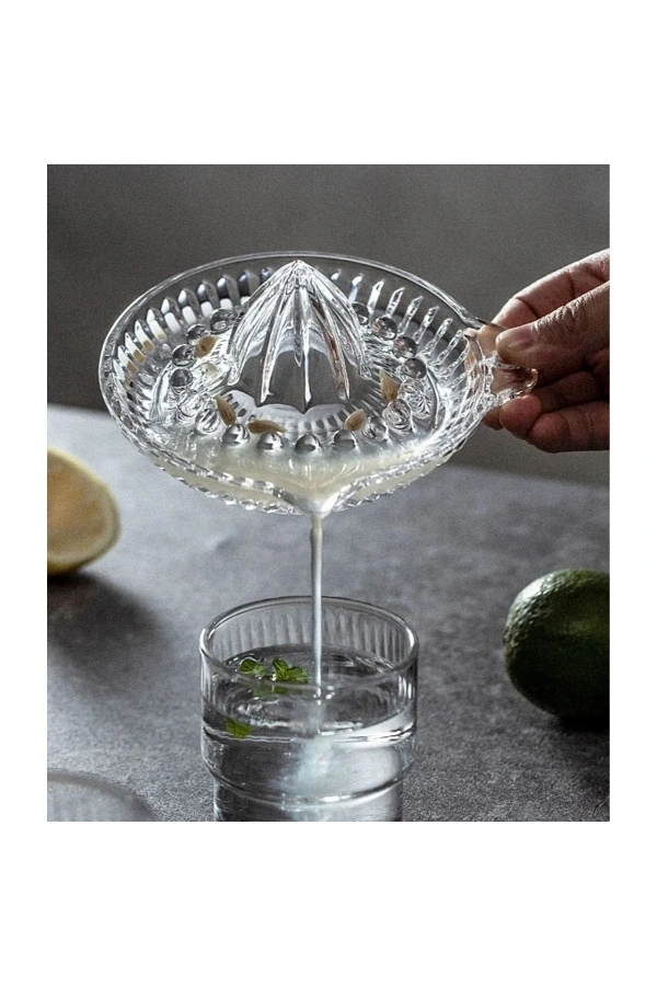 Bidebuvar Cam Limon Sıkacağı