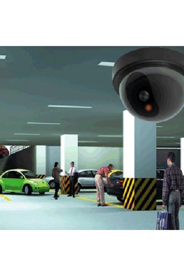 Bidebuvar Caydırıcı Dome Kamera