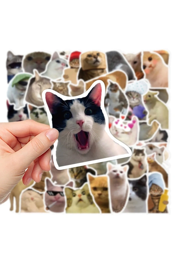 Bidebuvar Çılgın Kediler Macbook Notebook Tablet Telefon Ajanda Laptop Defter Sticker Seti