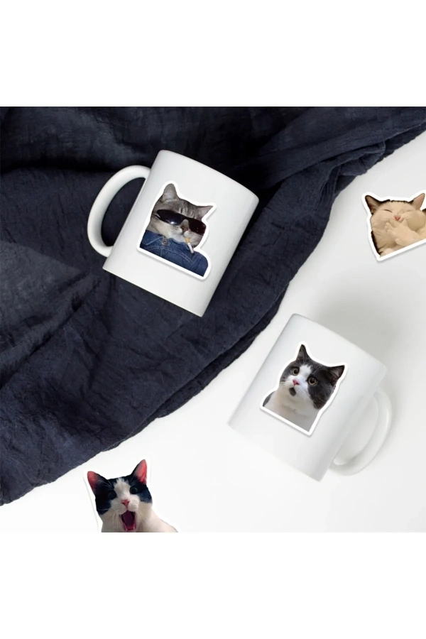 Bidebuvar Çılgın Kediler Macbook Notebook Tablet Telefon Ajanda Laptop Defter Sticker Seti