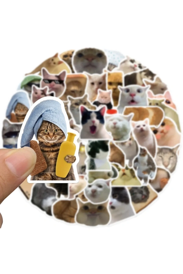 Bidebuvar Çılgın Kediler Macbook Notebook Tablet Telefon Ajanda Laptop Defter Sticker Seti