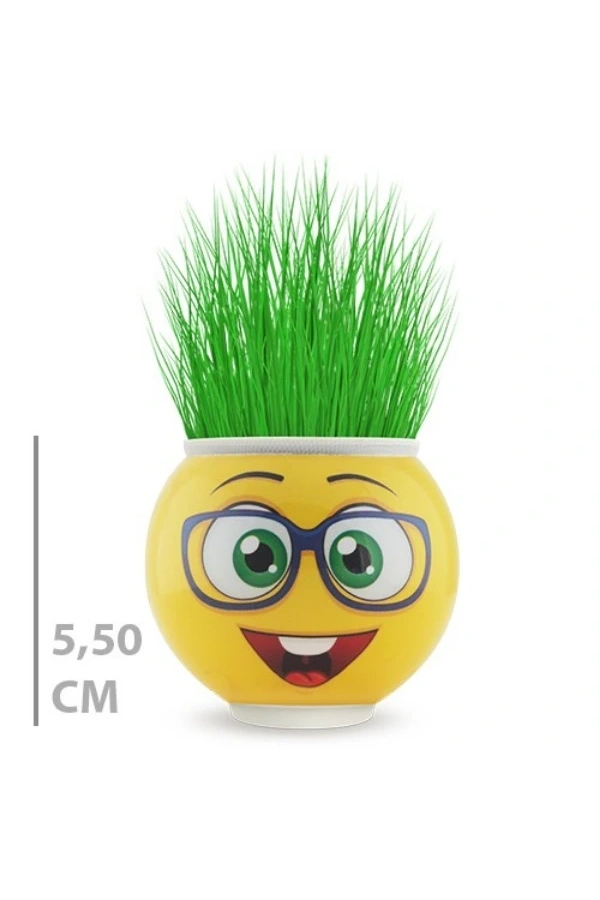 Bidebuvar Çim Adam Saksı Emoji Figürlü 1 Adet