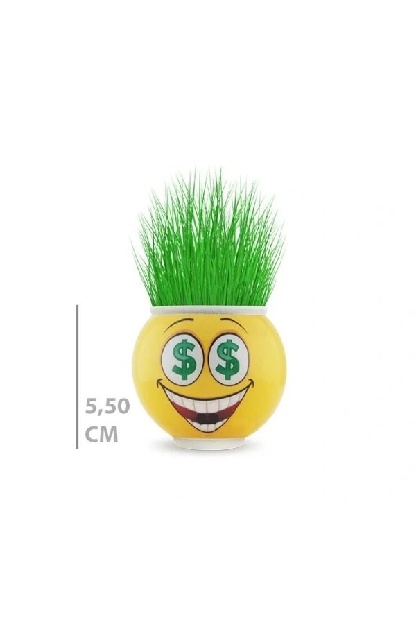 Bidebuvar Çim Adam Saksı Emoji Figürlü 1 Adet