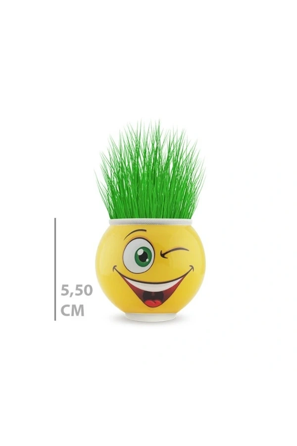Bidebuvar Çim Adam Saksı Emoji Figürlü 1 Adet