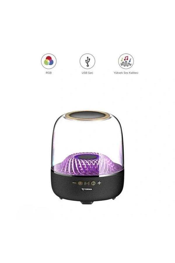 Bidebuvar D33 Siyah Taşınabilir Kablosuz Bluetooth Hoparlör