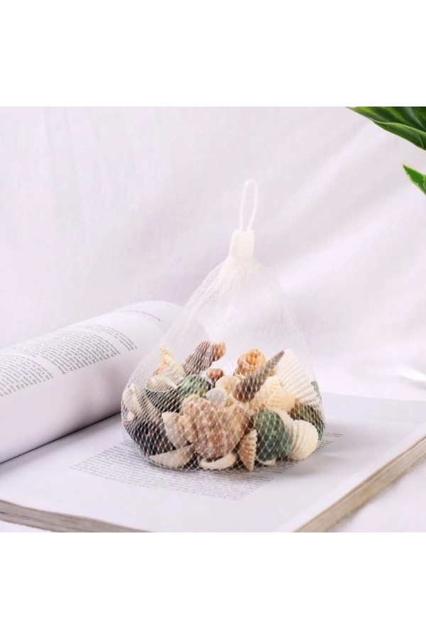 Bidebuvar Dekoratif Vazo Taşı - Midye ve Deniz Kabuğu - Fileli Renkli Mix