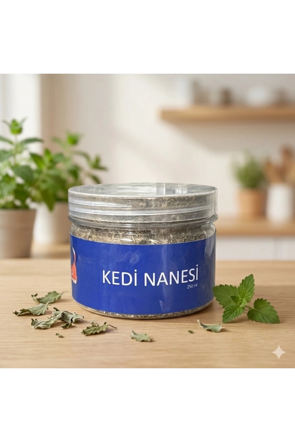 Bidebuvar Doğal Kedi Nanesi (Catnip) - 250 ml Kavanoz - Eğlenceli ve Doğal