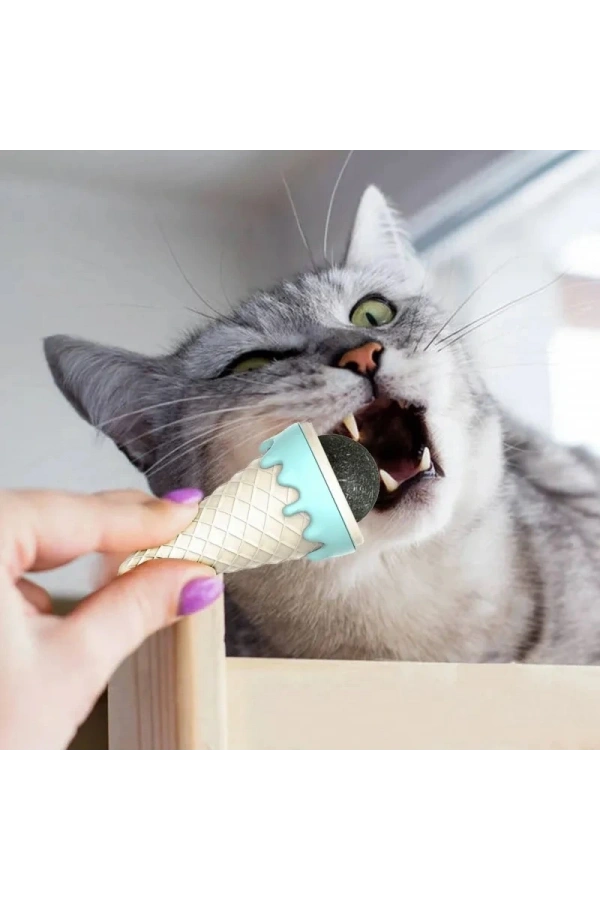 Bidebuvar DONDURMA ŞEKLİNDE KEDİ NANESİ KEDİ OTU