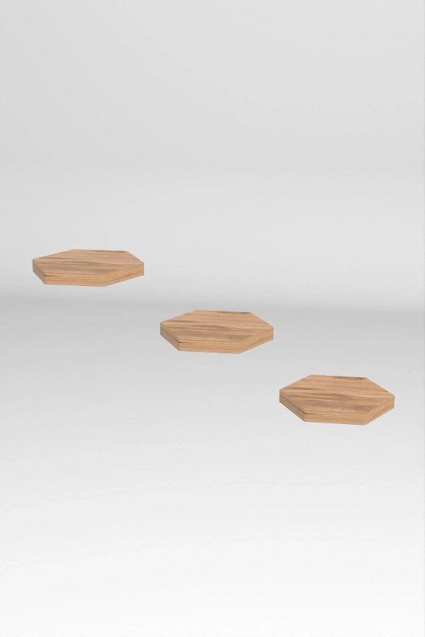 Bidebuvar Duvar Rafı Dekoratif 3 Adet Çiçeklik Altıgen Ceviz