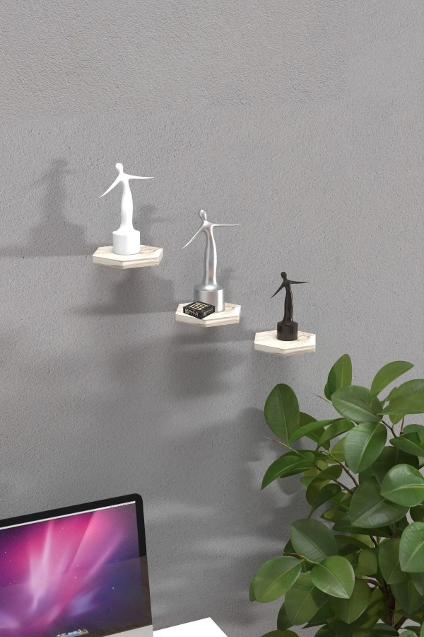 Bidebuvar Duvar Rafı Dekoratif 3 Adet Çiçeklik Altıgen Efes