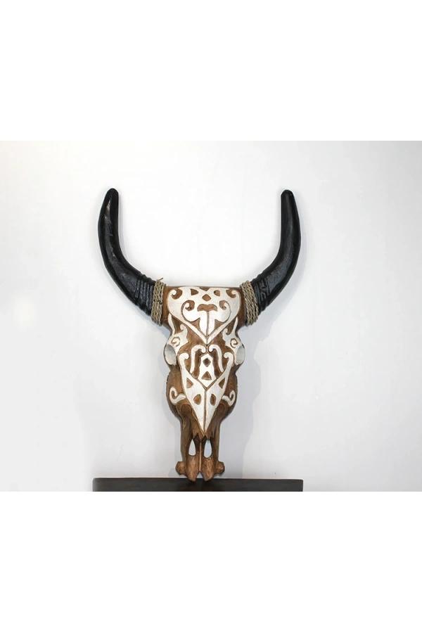 Bidebuvar Duvara Asmalı Bufalo Kafası