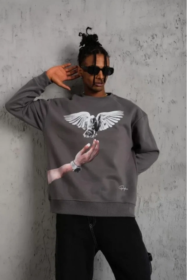 Bidebuvar Erkek Güvercin Baskılı Sweatshirt - Gri