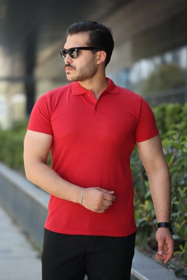 Bidebuvar Erkek Kısa Kollu Yakalı Tişört