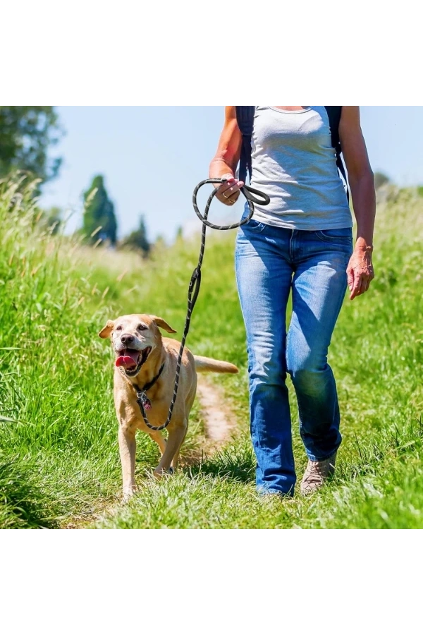 Bidebuvar Evcil Hayvan Fitil Gezdirme Tasması 10 mm x 120 cm