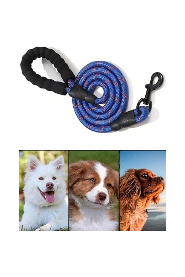 Bidebuvar Evcil Hayvan Reflektörlü Fitil Gezdirme Tasması 10 mm x 120 cm