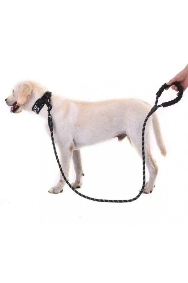 Bidebuvar Evcil Hayvan Reflektörlü Fitil Gezdirme Tasması 12 mm x 120 cm