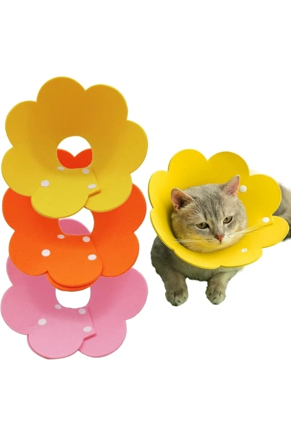 Bidebuvar Evcil Hayvan S Boy Keçe Elizabeth Yakalığı