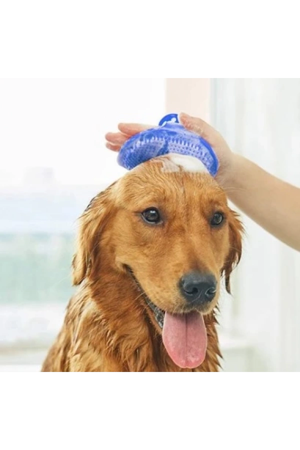 Bidebuvar Evcil Hayvan Silikon Tüy Toplama Yıkama Fırçası