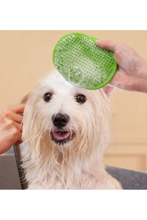 Bidebuvar Evcil Hayvan Silikon Tüy Toplama Yıkama Fırçası