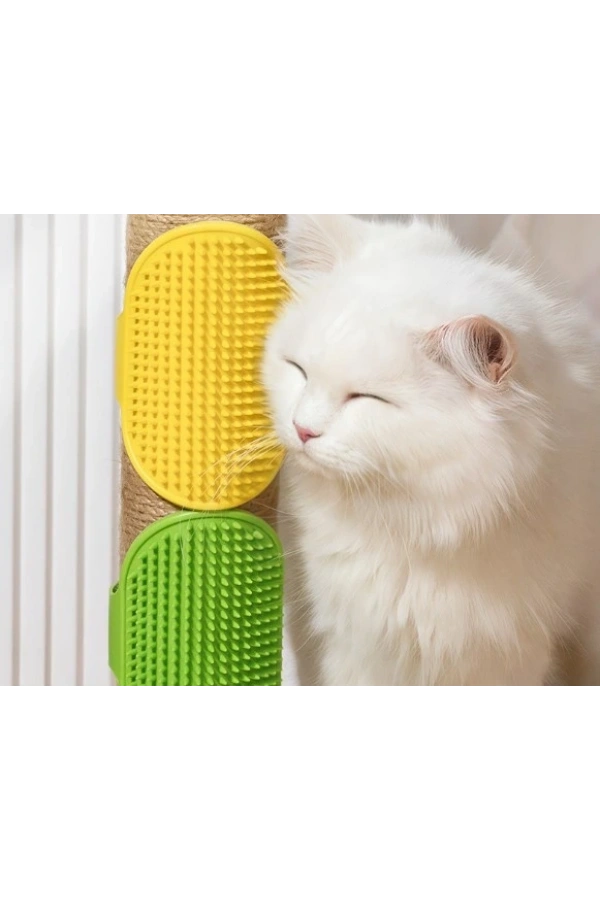 Bidebuvar Evcil Hayvan Silikon Tüy Toplama Yıkama Fırçası
