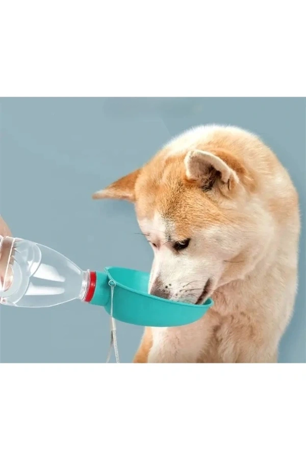 Bidebuvar Evcil Hayvan Takılabilir Suluk Başlığı