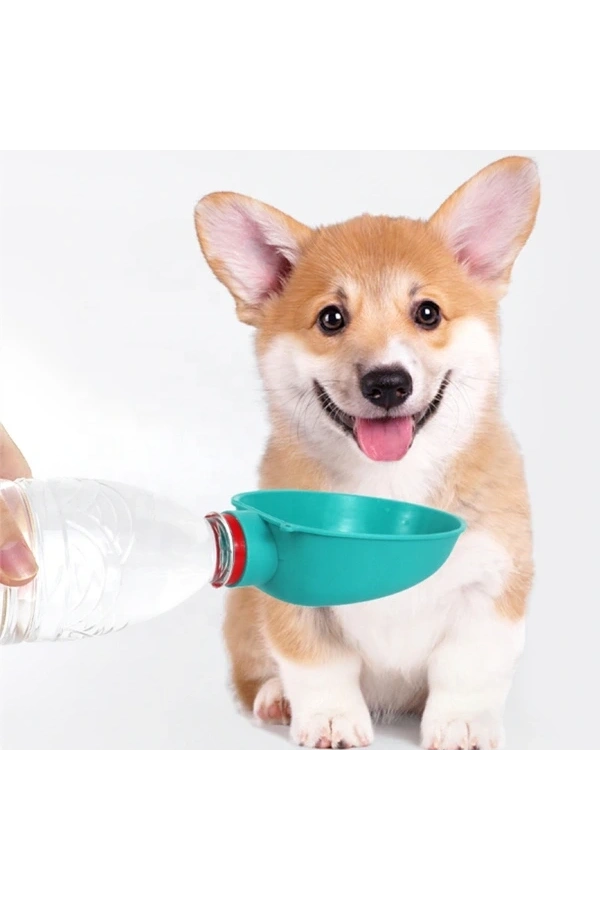 Bidebuvar Evcil Hayvan Takılabilir Suluk Başlığı