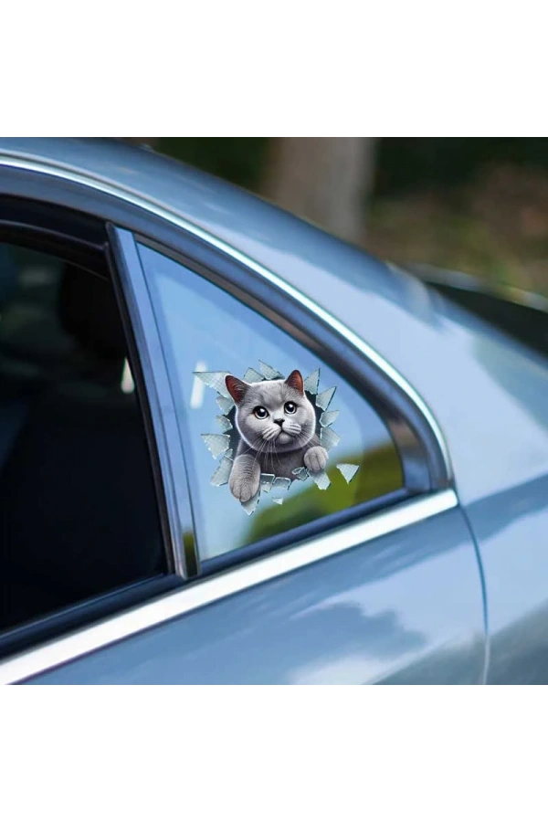 Bidebuvar Fulcar British Araç Stickerı