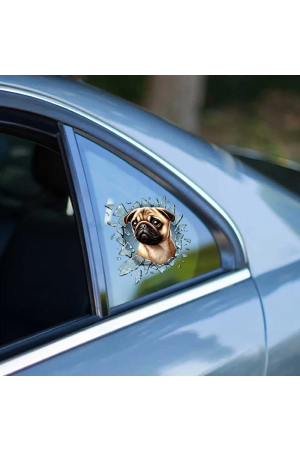 Bidebuvar Fulcar French Bulldog Araç Stickerı