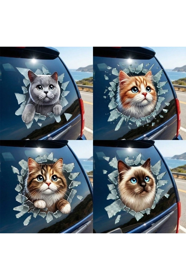 Bidebuvar Fulcar Kedi Tasarımlı Araç Stickerı