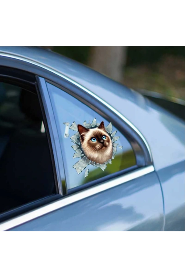 Bidebuvar Fulcar Siamesse Araç Stickerı