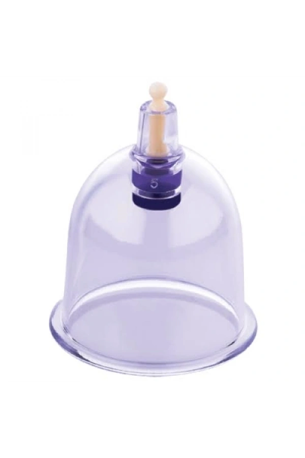 Bidebuvar Hacamax 6 Adet Kupa Seti