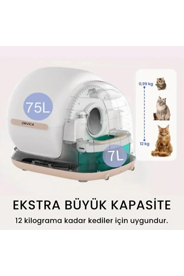 Bidebuvar HD Kameralı Akıllı Kedi Tuvaleti