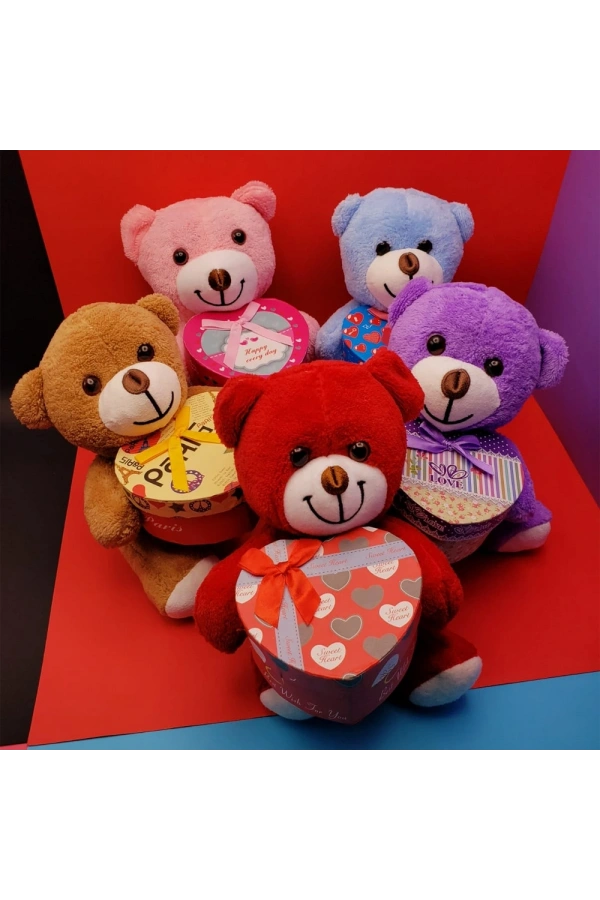 Bidebuvar Hediyelik Kutulu Ayıcık