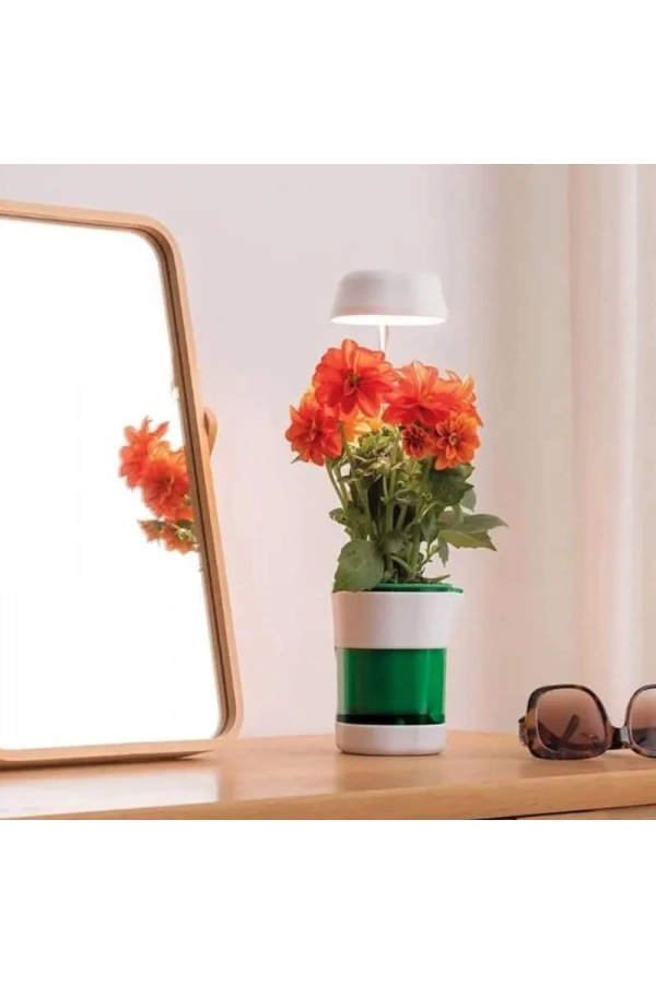 Bidebuvar Hızlı Bitki Yetiştirme Saksısı