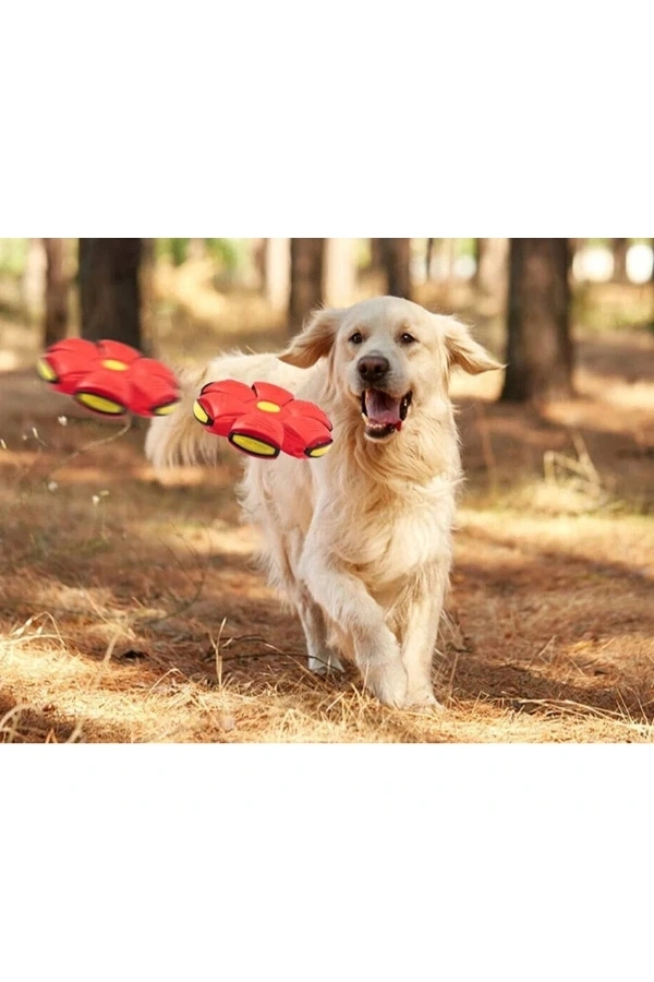 Bidebuvar Işıklı Zıplayan Frizbi Evcil Hayvan Topu
