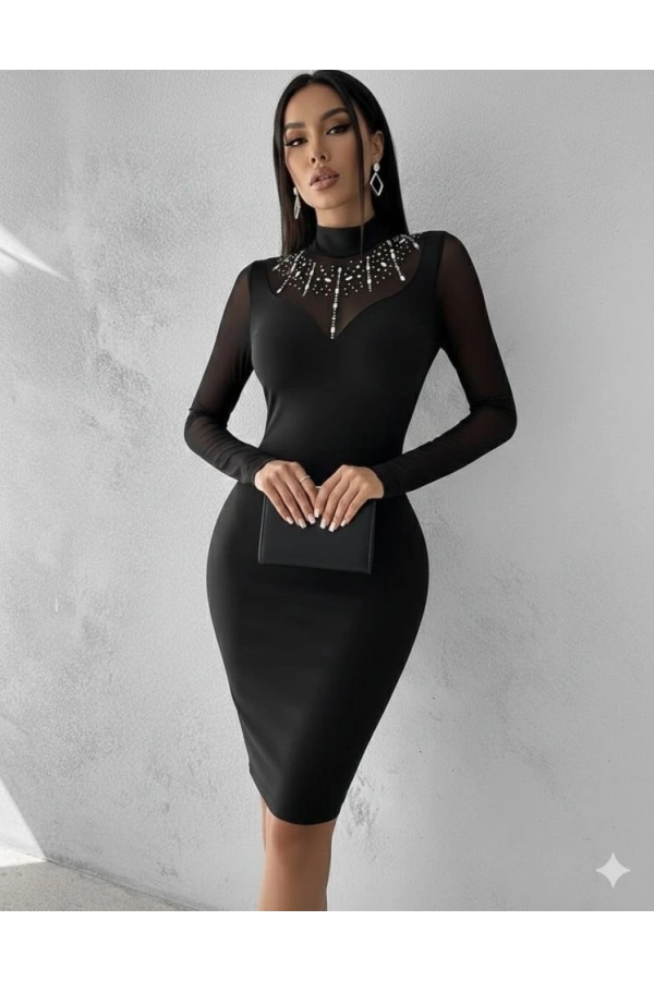 Bidebuvar Kadın Balıkçı Yaka Dalgıç Kumaş Taş Ve Transparan Detaydiz üstü Elbise