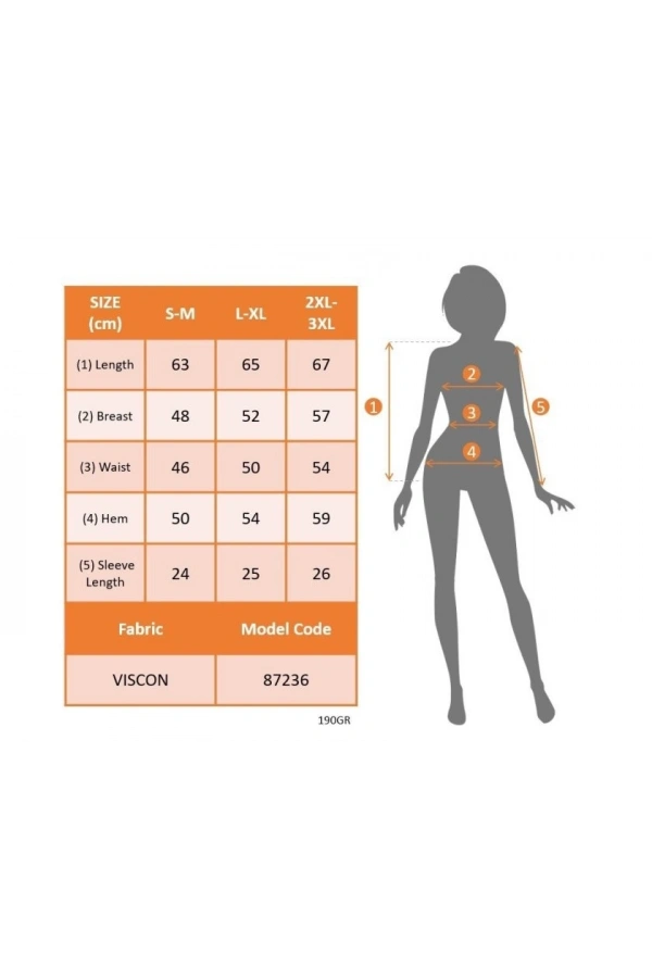 Bidebuvar Kadın Kısa Kollu V Yakalı şerit Detaylı Viskon Bluz
