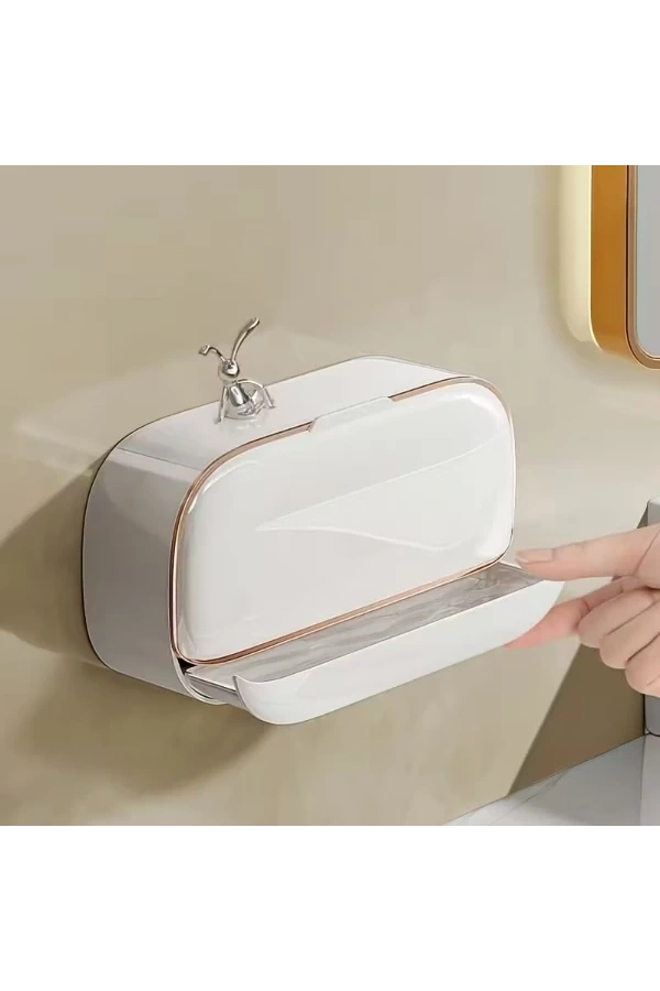 Bidebuvar Kapaklı Ve Drenaj Bölmeli Duvara Monte Sabunluk