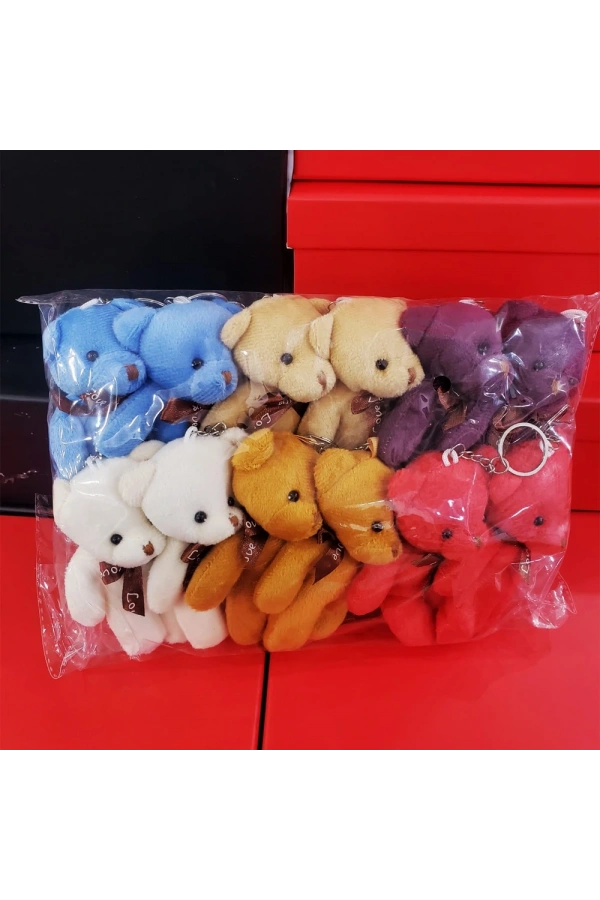 Bidebuvar Karışık Renk Ayıcık Anahtarlık