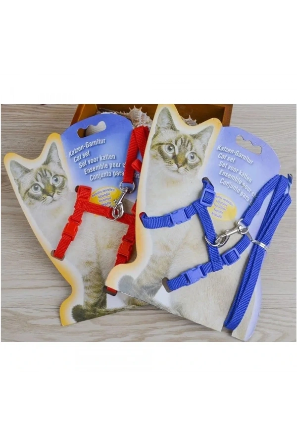 Bidebuvar Kedi Boyun ve Göğüs Tasması