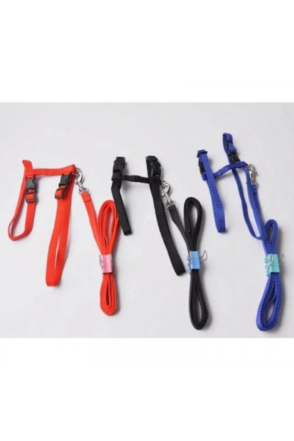 Bidebuvar Kedi Boyun ve Göğüs Tasması