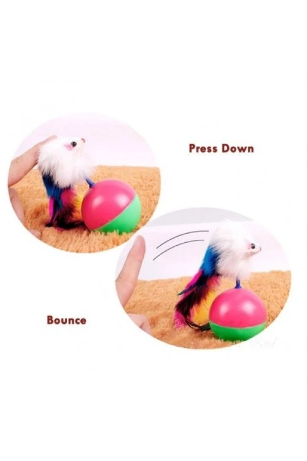 Bidebuvar Kedi Fare Hacıyatmaz Oyunu