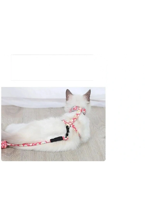 Bidebuvar Kedi Gezdirme Göğüs Tasması