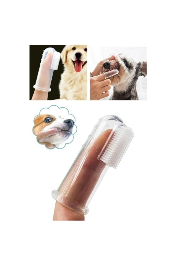 Bidebuvar Kedi Köpek Diş Temizleme Fırçası